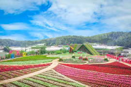 Ngày 6/2: Vùng núi Bắc Bộ có nơi rét đậm, rét hại