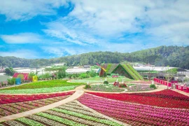 Ngày 6/2: Vùng núi Bắc Bộ có nơi rét đậm, rét hại