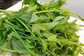 Loại rau quả nào tốt cho phụ nữ tuổi trung niên?