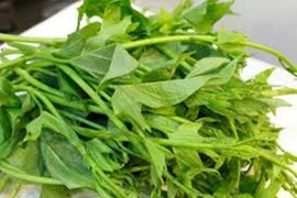 Loại rau quả nào tốt cho phụ nữ tuổi trung niên?