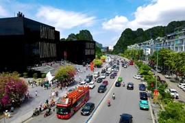 Top địa phương có hộ gia đình sở hữu ôtô nhiều nhất Việt Nam