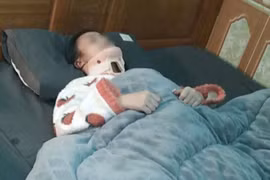 Thanh Hoá: Đình chỉ học 1 năm 4 nữ sinh đánh bạn gãy đốt sống cổ