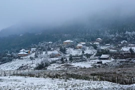 Thời tiết ngày 7/3: Vùng núi cao Bắc Bộ rét đậm, rét hại