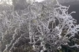 Bắc Bộ rét đậm, vùng núi dưới 5 độ