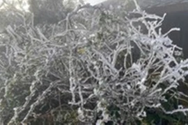 Bắc Bộ rét đậm, vùng núi dưới 5 độ