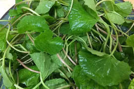 Loại rau cực rẻ giúp thải độc gan