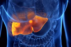 Phát hiện mới hợp chất tự nhiên ức chế tế bào ung thư gan