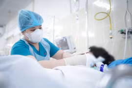 Bé trai 10 tuổi hôn mê do bị nhánh cây rơi trúng đầu 