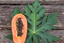 Top trái cây có hàm lượng magie cao tốt cho sức khoẻ