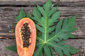 Top trái cây có hàm lượng magie cao tốt cho sức khoẻ