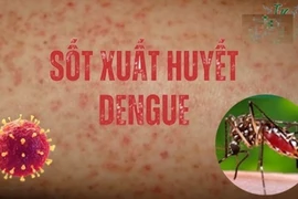 Nguy cơ sốt xuất huyết Dengue bùng phát 