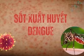Nguy cơ sốt xuất huyết Dengue bùng phát 
