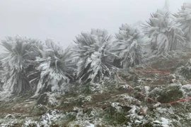 Thời tiết ngày 05/02: Vùng núi Bắc Bộ rét đậm, rét hại