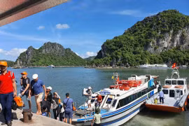 Cẩn trọng bẫy lừa đảo tour du lịch giá siêu khuyến mãi dịp Tết