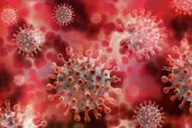 Nga phát hiện virus lạ nguy hiểm gây sốt và ho ra máu