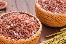 Gạo lứt - “siêu thực phẩm” mang nhiều lợi ích cho sức khoẻ