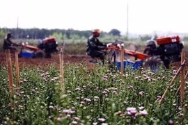 Lên quận: Cơ hội cho Bắc Từ Liêm “đổi đời"