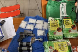 Đường dây mua bán ma tuý vừa bị Công an TP.HCM triệt phá lớn cỡ nào?