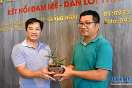 Phi vụ kinh điển, giò lan phi điệp đột biến mua 13 triệu bán 580 triệu