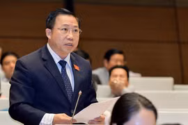 ĐBQH Lưu Bình Nhưỡng: Cán bộ nào đang 'lên kế hoạch tham nhũng' thì dừng lại ngay