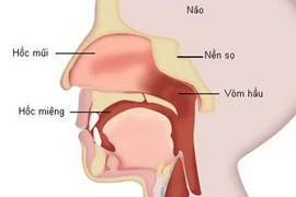 Hội thảo Khoa học: Những tiến bộ trong Tầm soát và điều trị ung thư Đầu - Mặt - Cổ