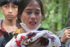 Nước mắt Trà Leng