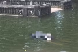 Kết quả điều tra vụ thi thể phụ nữ nổi trong ao khuôn viên đền Phù Đổng