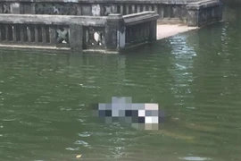 Kết quả điều tra vụ thi thể phụ nữ nổi trong ao khuôn viên đền Phù Đổng