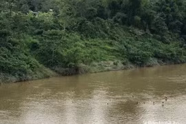 Bé gái 7 tuổi bị mất tích khi tắm sông ở Nghệ An: Tìm thấy thi thể 