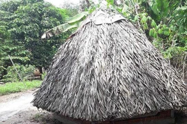 Đội trưởng công an quan hệ bất chính với vợ người khác trong chòi cà phê