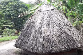 Đội trưởng công an quan hệ bất chính với vợ người khác trong chòi cà phê