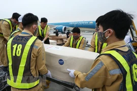 Hình ảnh tiếp nhận 39 thi thể người Việt tử vong ở Anh tại sân bay Nội Bài