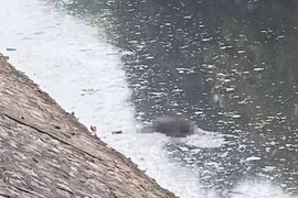 Tá hỏa phát hiện thi thể nam giới tử vong trên sông Kim Ngưu