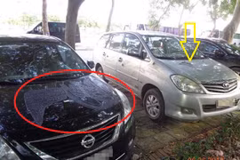 Chất lạ trên nắp capo là gì mà khiến chủ xe ô tô hoảng hồn?