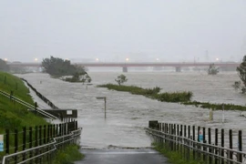 Nhật Bản cứu trợ tàu bị đắm có người Việt do bão Hagibis