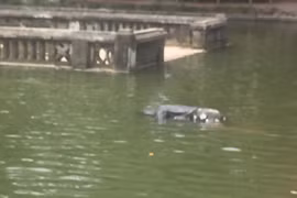 Phát hiện thi thể phụ nữ nổi trong ao khuôn viên đền Phù Đổng