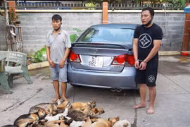 Bao vụ trộm chó bị đánh chết sao loại tội phạm này vẫn “nở” như nấm?