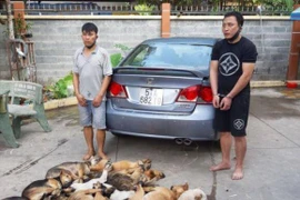 Bao vụ trộm chó bị đánh chết sao loại tội phạm này vẫn “nở” như nấm?