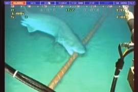 10 sự thật về cáp mạng vượt đại dương