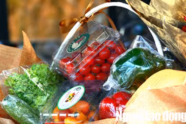 Quà Tết độc đáo của nông dân Đà Lạt