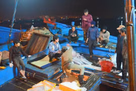 Thương lái TQ lại “chơi bẩn” với thủy sản Việt