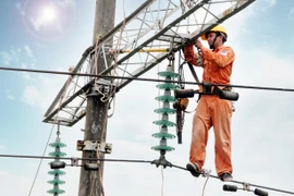 Thợ điện Hà Nội gồng mình dưới nắng lửa