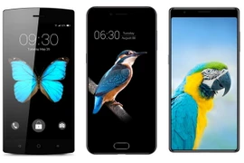 Bphone 3: Vì sao chọn chú vẹt rực rỡ sắc màu làm hình nền?