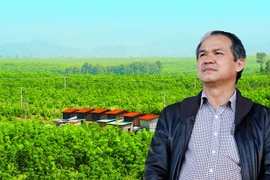 Cổ phiếu bị đánh giá thấp, công ty bầu Đức thua lỗ thế nào?