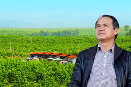 Cổ phiếu bị đánh giá thấp, công ty bầu Đức thua lỗ thế nào?