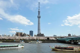 3 tòa nhà chọc trời chỉ nằm trên giấy ở Việt Nam