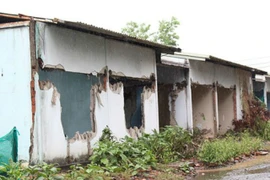 Những khu nhà nát giữa Khu đô thị mới Thủ Thiêm