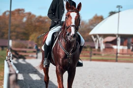 "Cuộc chiến ngầm" hai ái nữ nhà ông trùm Steve Jobs và Bill Gates