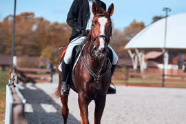 "Cuộc chiến ngầm" hai ái nữ nhà ông trùm Steve Jobs và Bill Gates