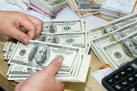 Năm 2014, VNĐ sẽ ra sao?